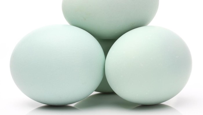 1765170312214-telur-bebek-untuk-bakmi-godog-ala-bantul_169