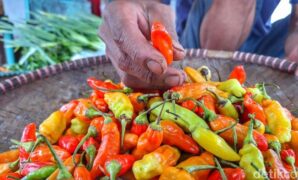 1765191917259-kadisperdagin-kabupaten-bandung-dicky-anugrah-1765165849435_169