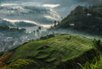 1765278323410-ilustrasi-kawasan-puncak-1765268740724