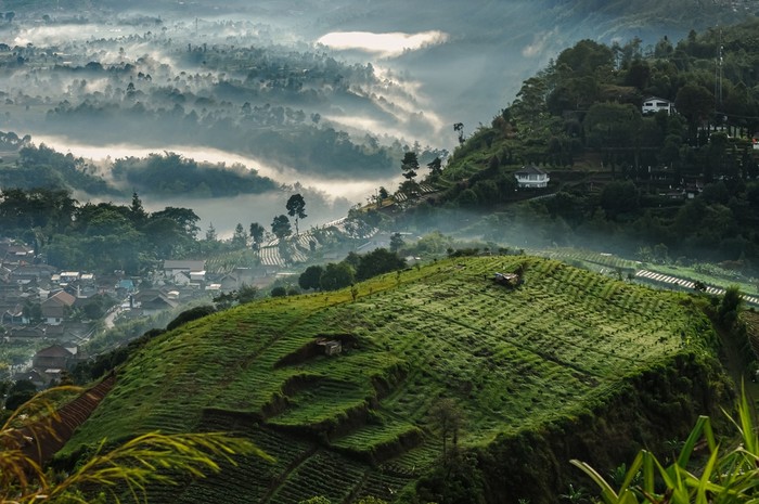 1765278323410-ilustrasi-kawasan-puncak-1765268740724