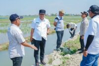 1765299905970-bupati-karawang-aep-syaepuloh-saat-mengecek-saluran-irigasi-sawah-1765280116553_169