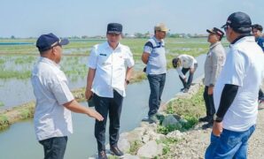 1765299905970-bupati-karawang-aep-syaepuloh-saat-mengecek-saluran-irigasi-sawah-1765280116553_169
