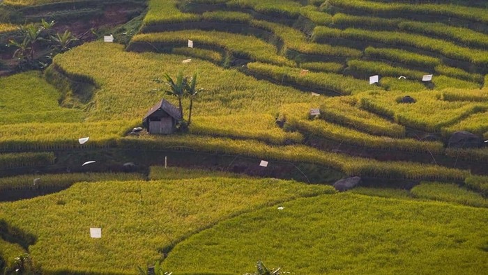 1765451116617-famtrip-malasari-2025-hadirkan-pesona-wisata-alam-budaya-desa-malasari-1765439839876_169