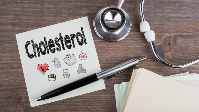 1765559115545-ilustrasi-kolesterol_169