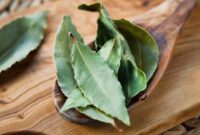 1765602299935-911769366-1749269914025_169