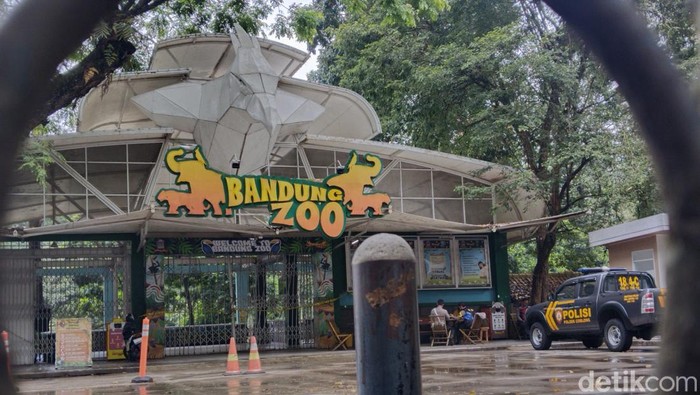 1765602307806-suasana-bandung-zoo-terkini-setelah-penutupan-1754971402974_169