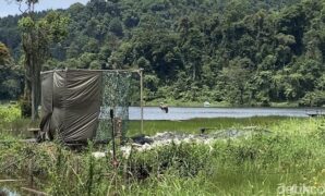 1765645494460-elang-jawa-bernama-raja-dirgantara-dilepasliarkan-di-situ-gunung-1765618318154_169