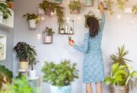 1765710341202-tanaman-hias-dalam-rumah-1_169