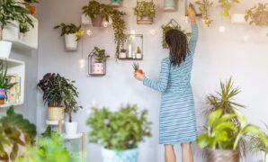 1765710341202-tanaman-hias-dalam-rumah-1_169