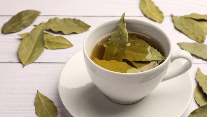 1765731904071-daun-salam_169