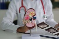 1765731908930-ilustrasi-ginjal-1764557305617_169