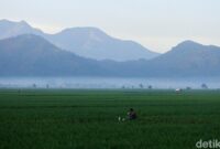 1765753476329-973f2086-40e8-4600-90c6-b9427b281d50_169