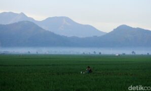 1765753476329-973f2086-40e8-4600-90c6-b9427b281d50_169