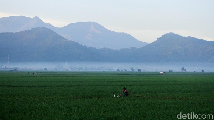 1765753476329-973f2086-40e8-4600-90c6-b9427b281d50_169