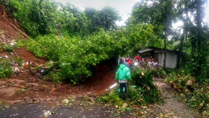 1765775120136-akses-jalan-menuju-wilayah-pajampangan-dari-palabuhanratu-dan-sekitarnya-lumpuh-total-akibat-longsor-1765765832163_169