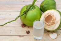 1765861517997-ilustrasi-air-kelapa-muda_169