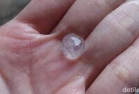 1765883100004-hujan-deras-disertai-angin-terjadi-di-kawasan-ciputat-tangerang-selatan-banten-di-sela-peristiwa-tersebut-terjadi-juga-hujan-e-1_169