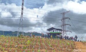 1765883106282-kondisi-pos-pengamanan-di-perkebunan-teh-malabar-blok-pahlawan-kecamatan-pangalengan-kabupaten-bandung-1765874927551_169