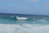 1765904709360-a22601ab-17d0-4f1c-a387-aa0ee3fd5081_169