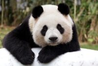 1765904709937-3cbdbe9b-1e63-4f0a-b8bf-673a1cd88e2c_169