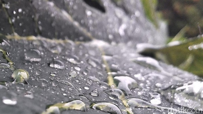 1765926271394-ilustrasi-hujan-1764385551807_169