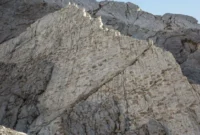 1765991107052-dinosaurus-1765936186021_169