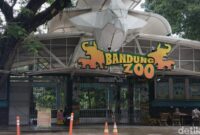 1766055963259-suasana-bandung-zoo-terkini-setelah-penutupan-1754971402848_169