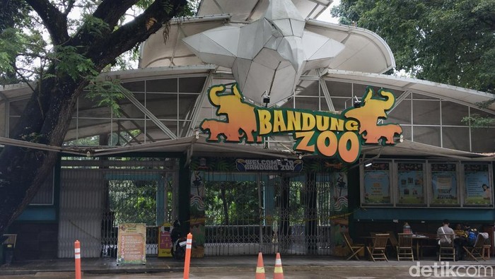 1766055963259-suasana-bandung-zoo-terkini-setelah-penutupan-1754971402848_169