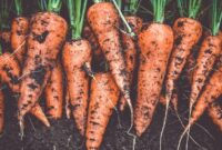 1766358261055-38323107-33e4-4860-8d08-dc439fbb1efc_169