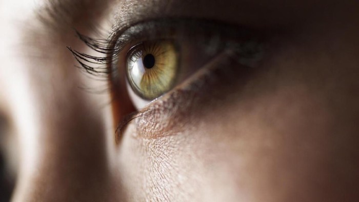 1766682313396-aa083afb-d88b-4d2f-8c61-307114890de9_169