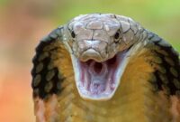 1767071122854-1281306013_169