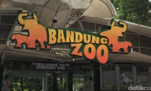 1767092750748-bandung-zoo-1766812772138_169