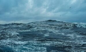 1767395073097-ilustrasi-laut-1759544468355_169