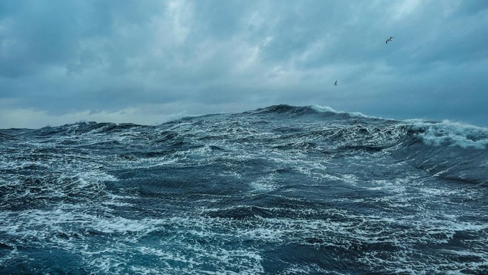 1767395073097-ilustrasi-laut-1759544468355_169