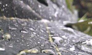 1767395074175-ilustrasi-hujan-1764385551807_169