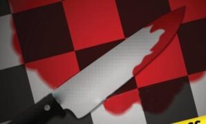 1767416749092-c0ddb45e-7ff8-4194-9c58-696ea92b53bc_169