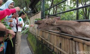 1767438466270-suasana-di-taman-satwa-cikembulan-garut-1767420762351_169