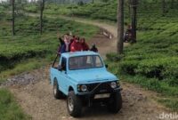 1767459888185-keseruan-wisatawan-saat-fun-offroad-di-kebun-teh-sukabumi-1767423851116_169