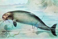 1767503163112-rekonstruksi-wujud-sapi-laut-steller-hydrodamalis-gigas-1747457752635_169