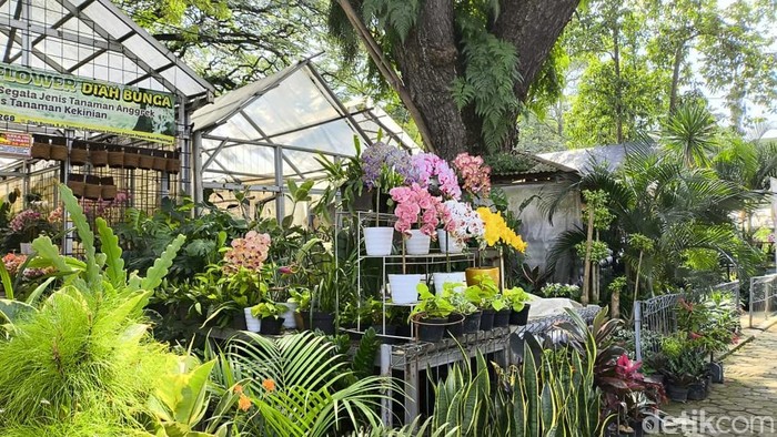 1767697526339-salah-satu-kios-penjual-bunga-di-taman-cibeunying-1767599215551_169