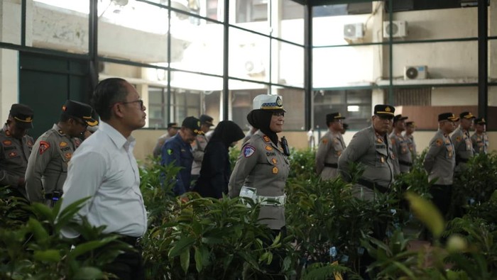 1767805507915-penanaman-bibit-pohon-buah-di-sumedang-1767790832063_169