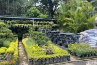 1767935118445-salah-satu-kios-pasar-tanaman-hias-tegallega-1767857821552_169