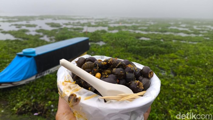 1767935124589-tutut-dadakan-khas-waduk-darma-1767857512254_169