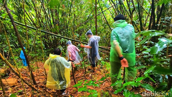 1767956724476-kebun-awi-lokasi-penemuan-mayat-tanpa-kepala-di-ciracap-sukabumi-1767953331277_169