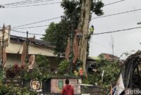 1768151119700-pohon-di-petilasan-eyang-dalem-cikundul-tumbang-timpa-tiang-listrik-1768131887990_169