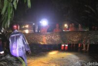 1769101494140-pohon-tumbang-di-jalan-cagak-subang-1769099476381_169