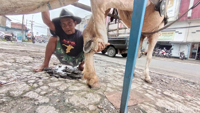 1769144714426-ade-cucu-tengah-memeriksa-sepatu-kuda-miliknya-di-sekitar-pasar-pancasila-tasikmalaya-1769072949668_169