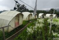 1769339111591-suasana-saung-lumbung-kuningan-1769161176789_169