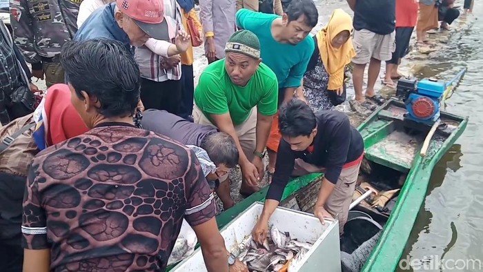 1769425522505-warga-berburu-ikan-mati-di-waduk-jatiluhur-1769418565601_169